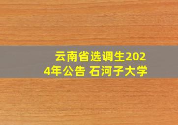 云南省选调生2024年公告 石河子大学